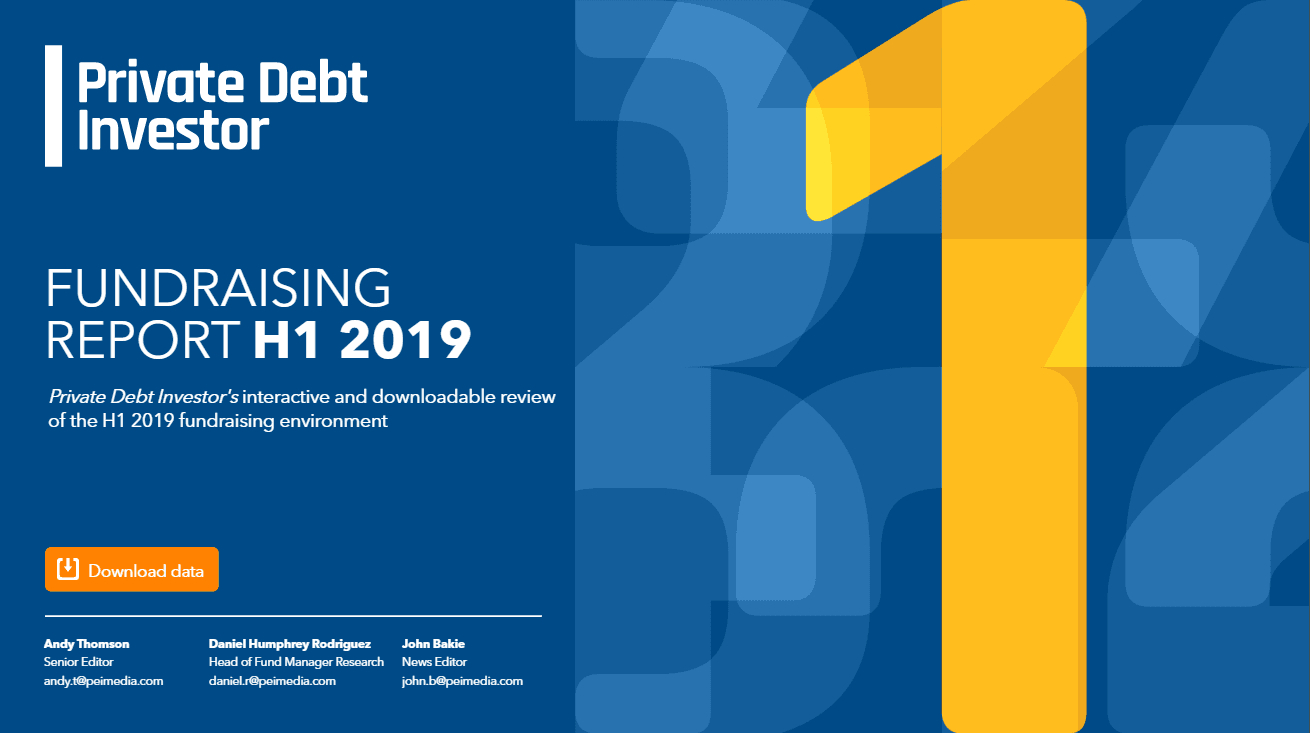 PDI H1 2019 Fundraising Report