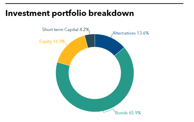 Investment portfolio breakdown of Yellow Umbrella
