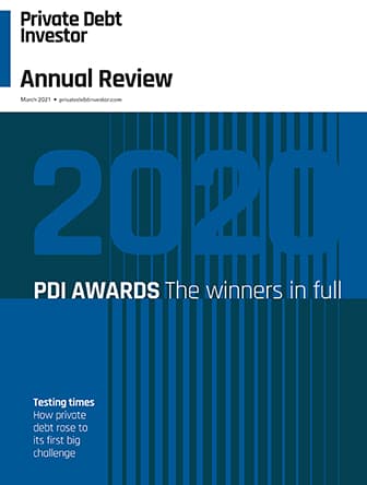 PDI Annual Review cover
