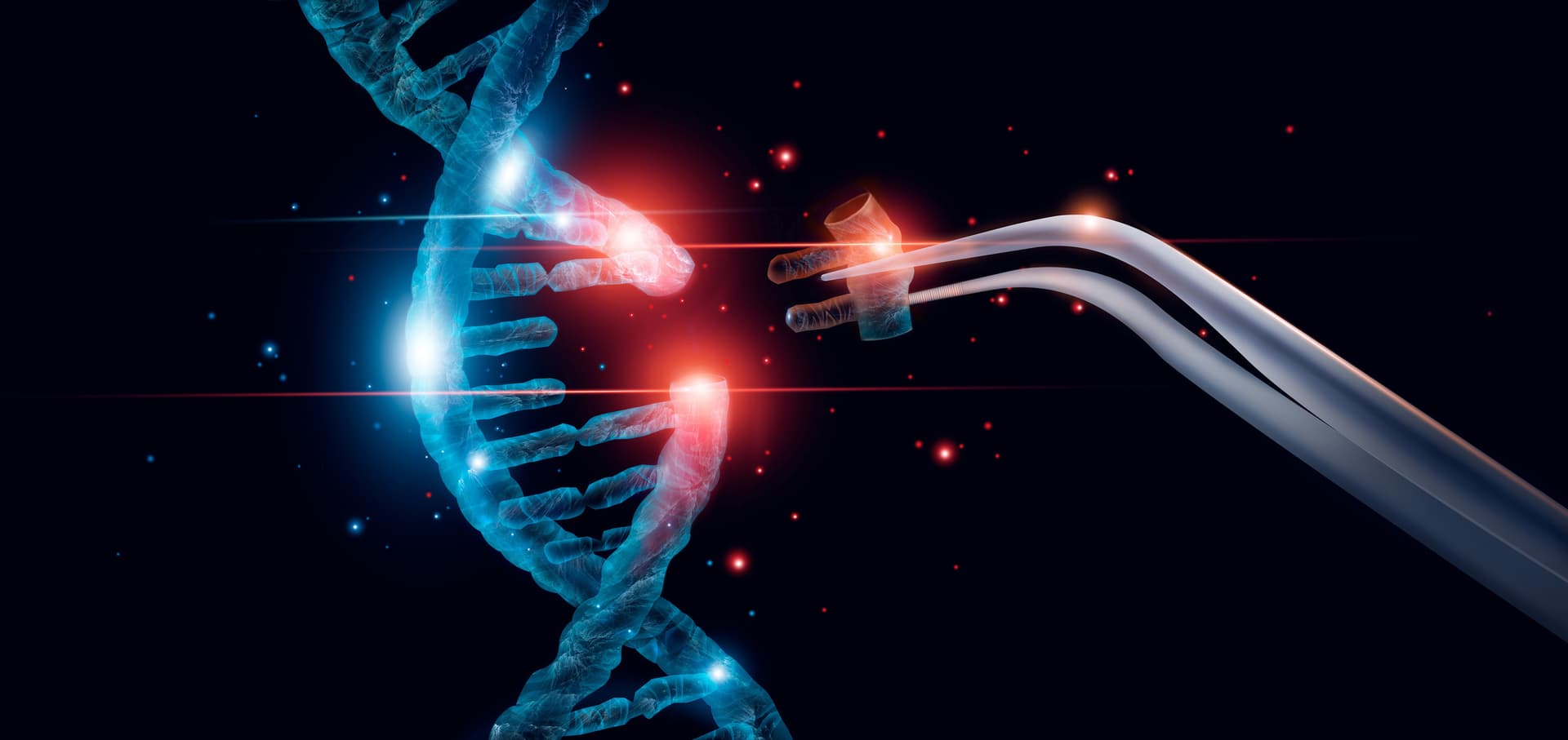 Wellcome Trust medical research endowment DNA