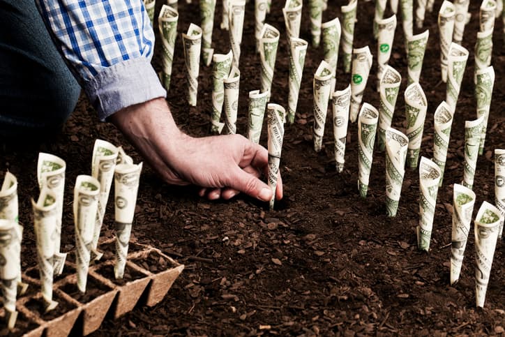 Farmer planting money