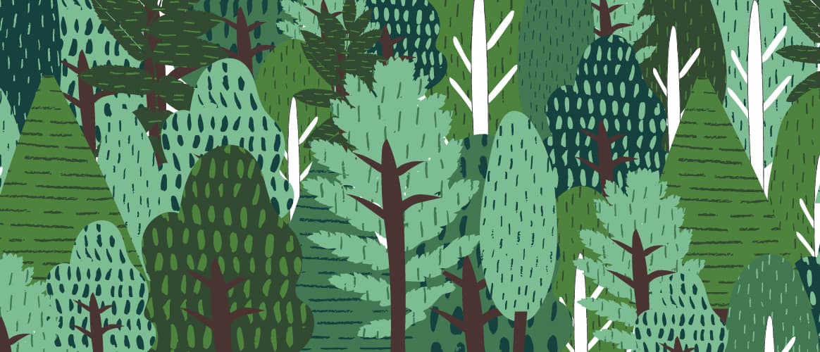 Trees forest woods