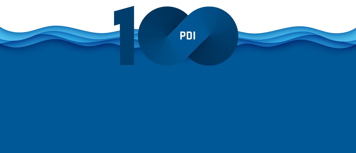 PDI 100 2022