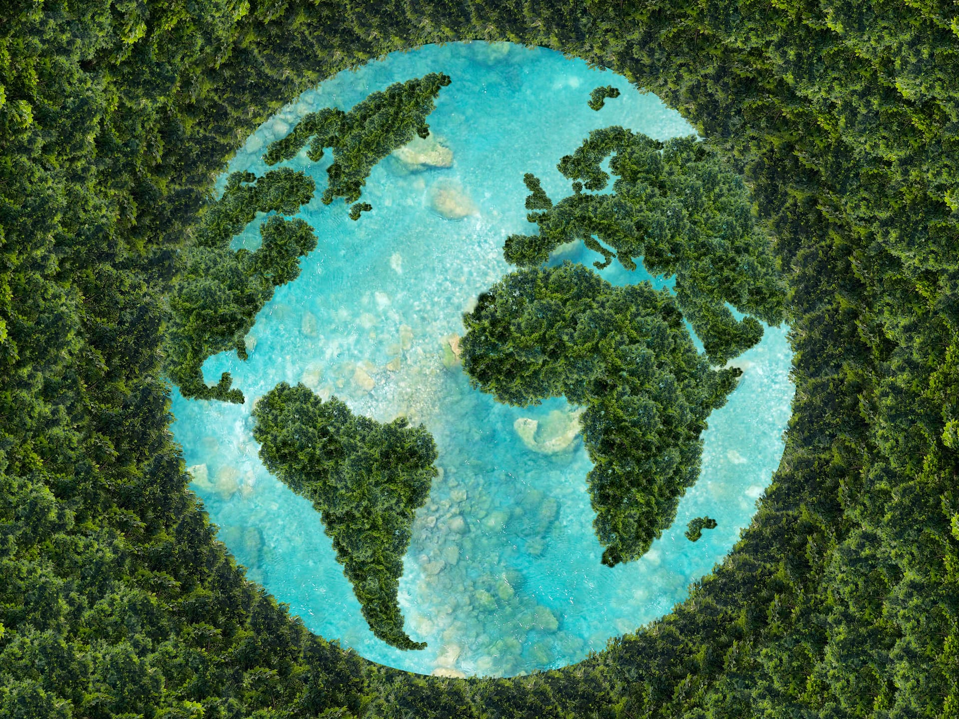 image of Earth made of water and forests