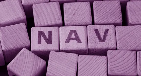 Purple building blocks spelling the word 'NAV'