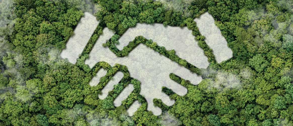 Handshake graphic over trees