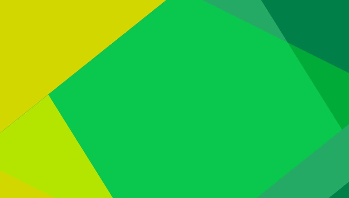 LP Perspectives Study 2024 co-investment analysis