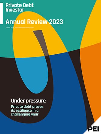 PDI Annual Review 2023 cover