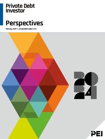 PDI Perspectives 2024 cover