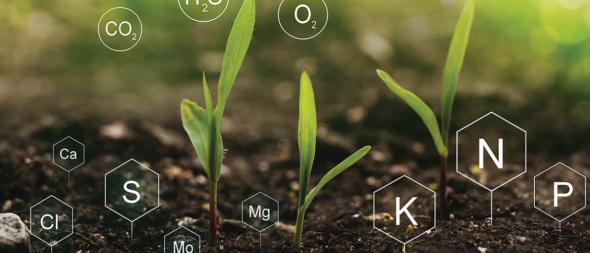 Fertilization and the role of nutrients in plant life. Soil with digital mineral nutrients
