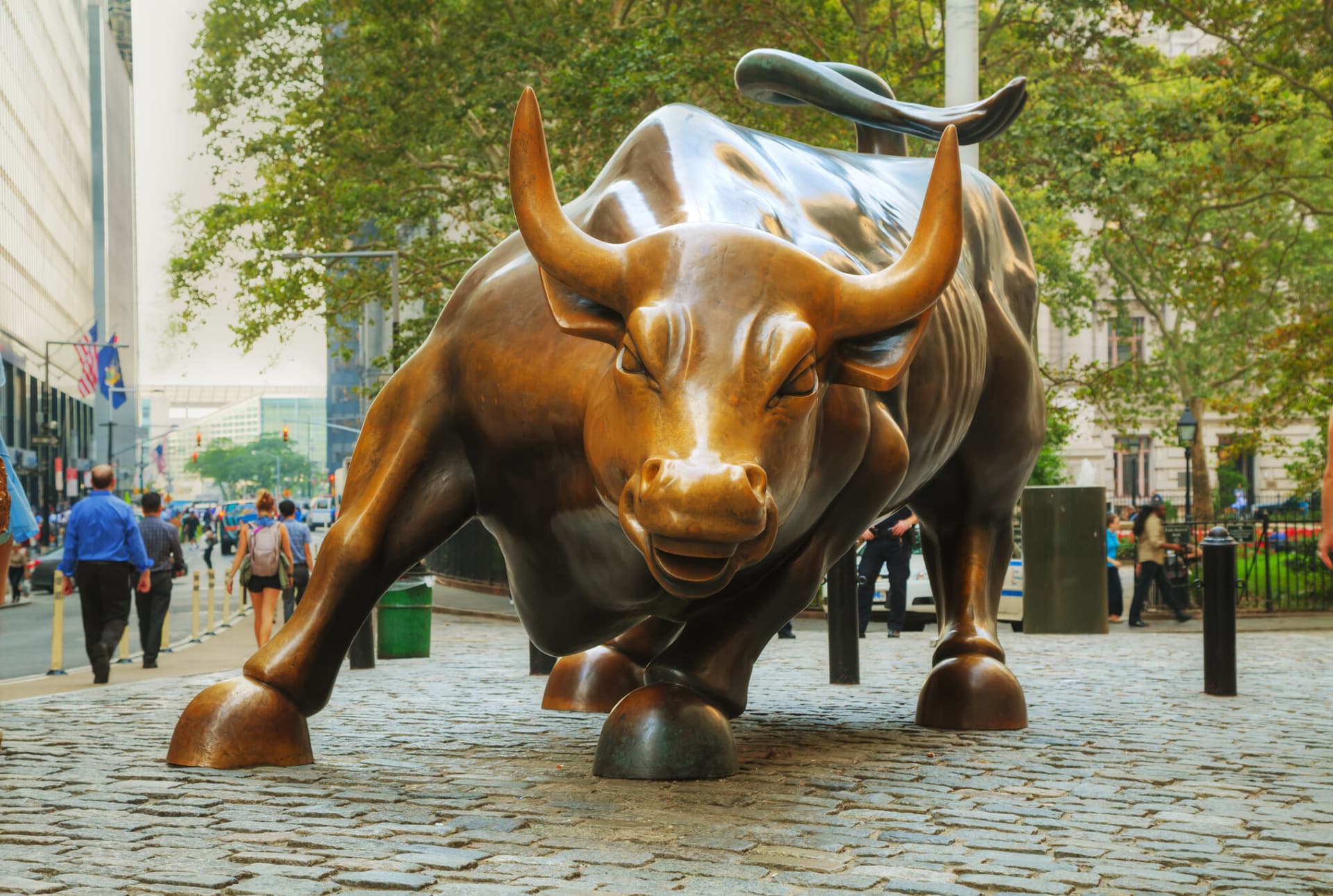 Wall Steet bull