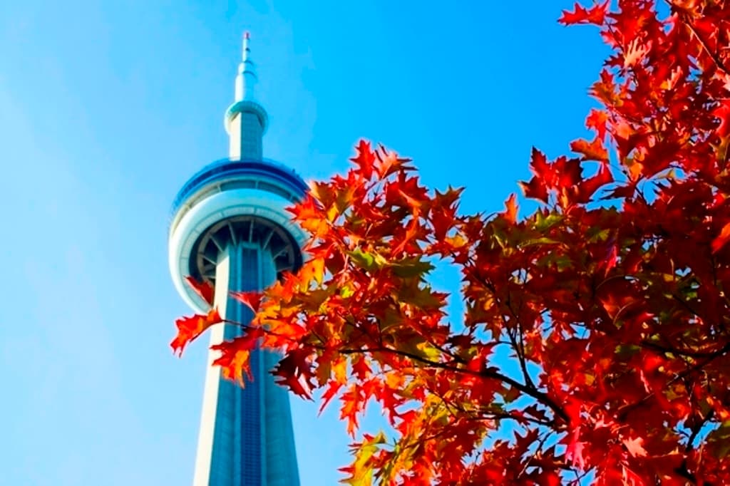 toronto